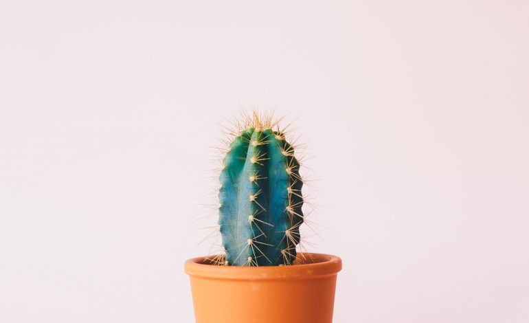  هر روز یک ایده ی خلاقانه